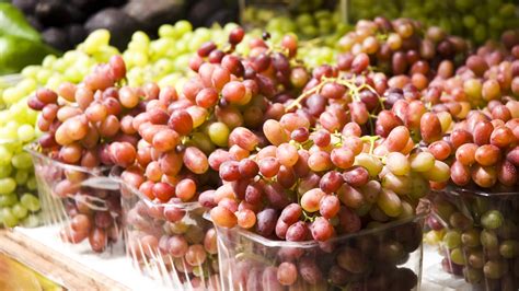 the pick|pick the grapes.